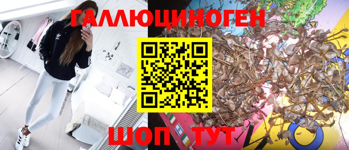 Псилоцибиновые грибы MAGIC MUSHROOMS  Вход с VPN  Ржев  Псилоцибиновые грибы мухоморы 
